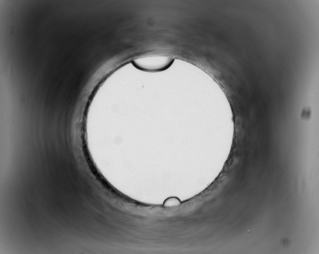 X0000103400007200810241021