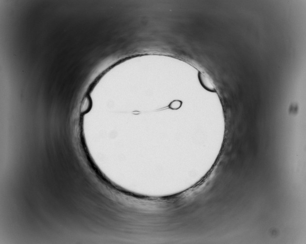 X0000103400008200810241021