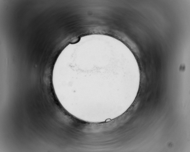 X0000103400009200810241021