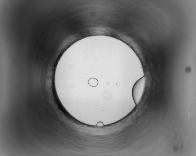 X0000103400010200810241021