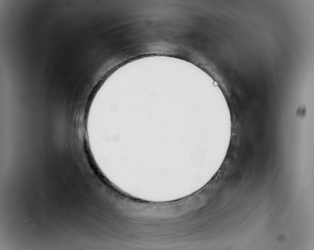 X0000103400011200810241021