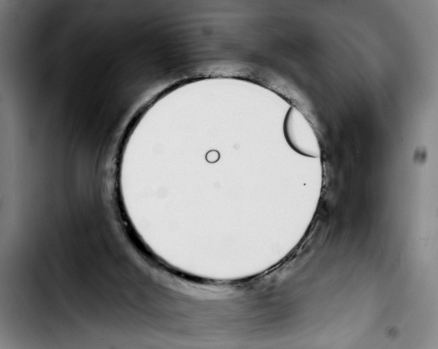 X0000103400012200810241021