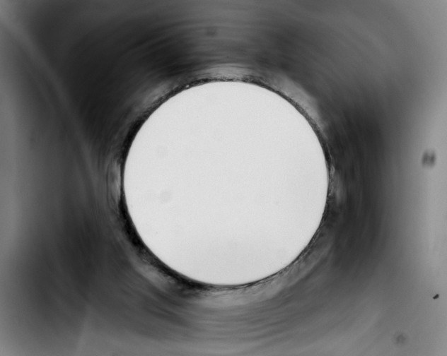 X0000103400013200810241021