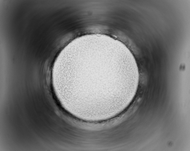 X0000103400014200810241021