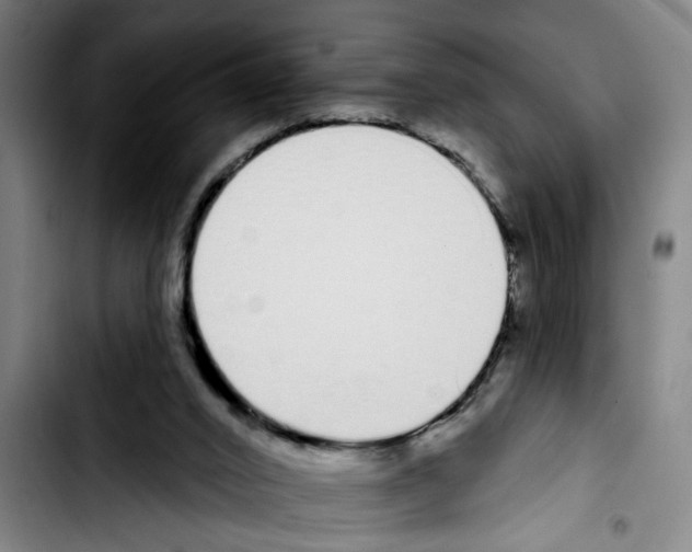 X0000103400016200810241021