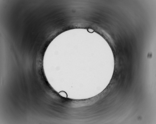 X0000103400017200810241021