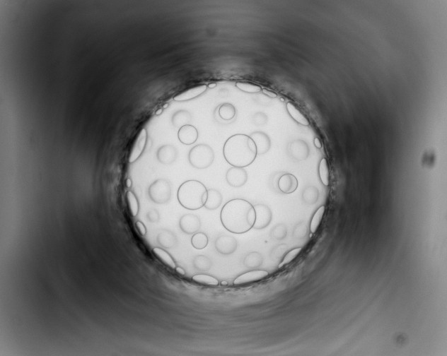 X0000103400018200810241021