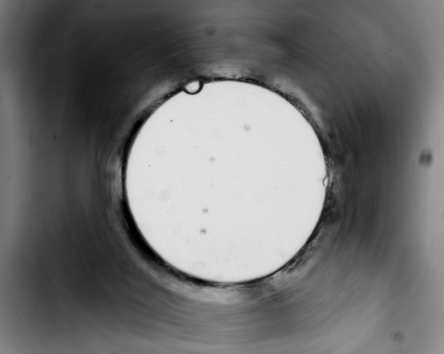 X0000103400020200810241021