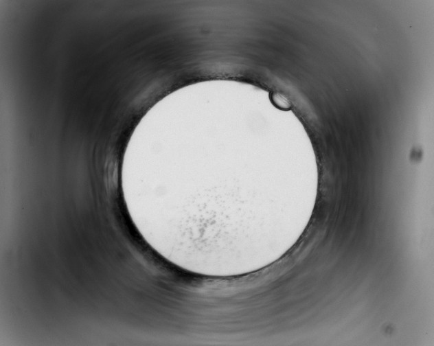 X0000103400021200810241021