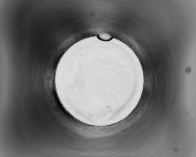 X0000103400023200810241021