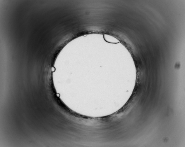 X0000103400024200810241021