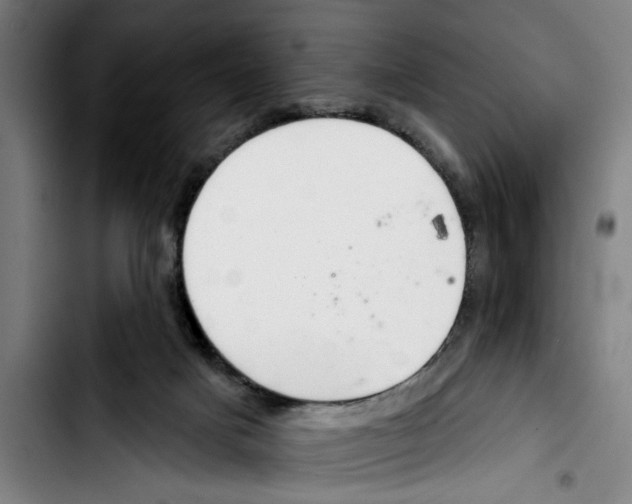 X0000103400025200810241021