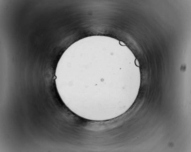 X0000103400029200810241021