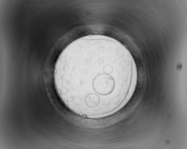 X0000103400030200810241021