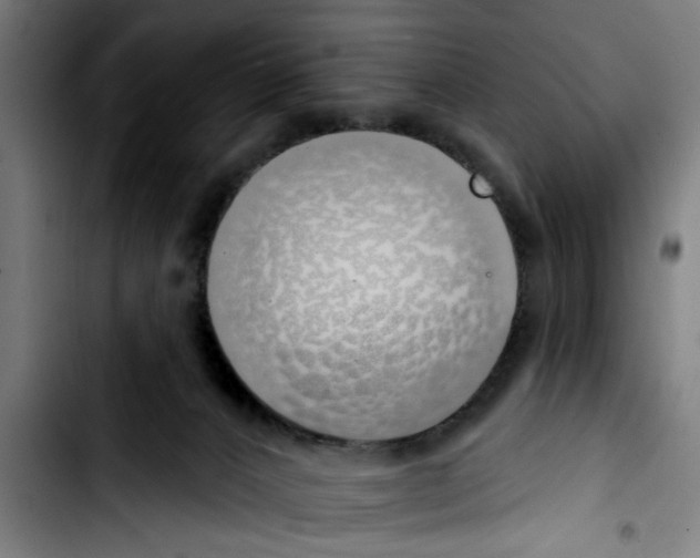 X0000103400032200810241021