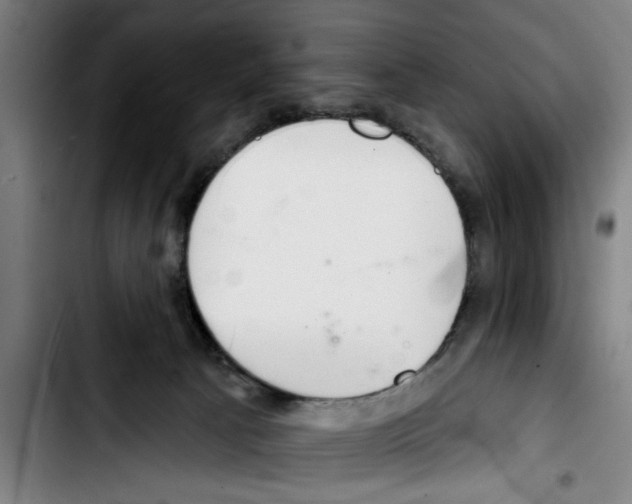 X0000103400033200810241021