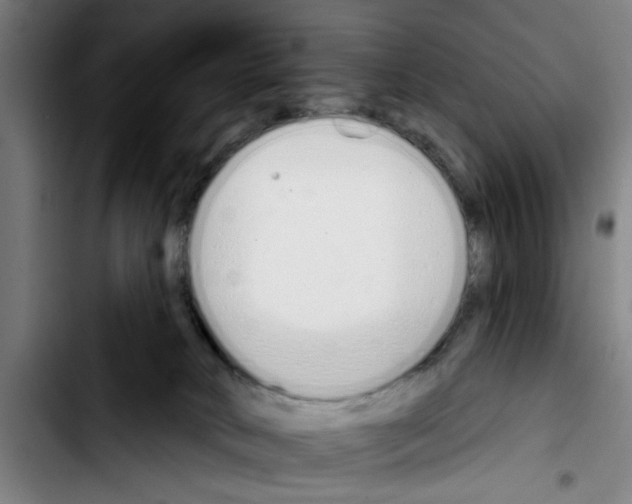 X0000103400034200810241021