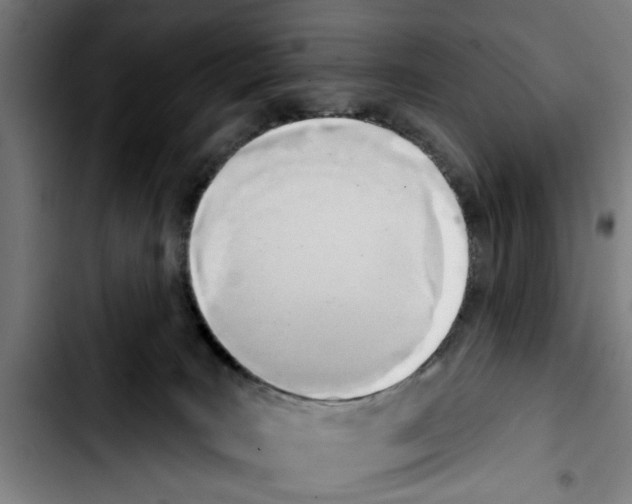 X0000103400035200810241021