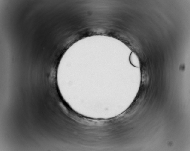 X0000103400036200810241021