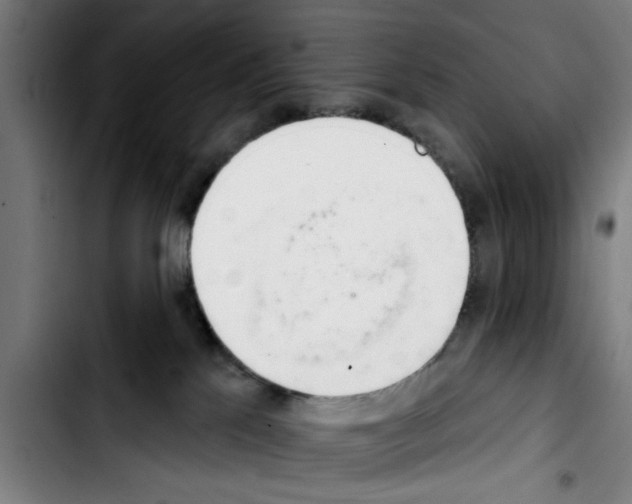 X0000103400041200810241021