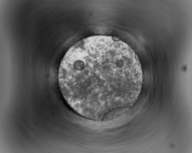 X0000103400043200810241021