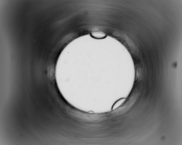 X0000103400044200810241021