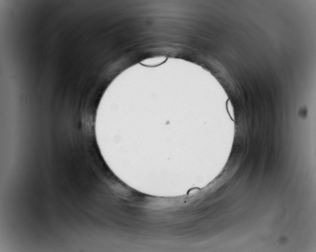 X0000103400045200810241021