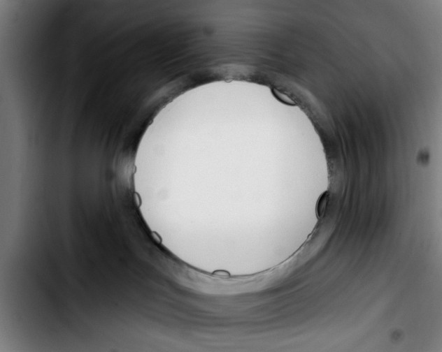 X0000103400047200810241021