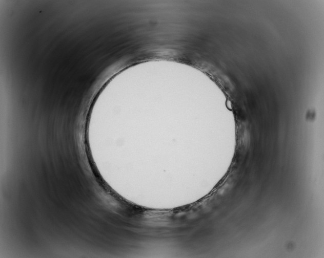 X0000103400051200810241020