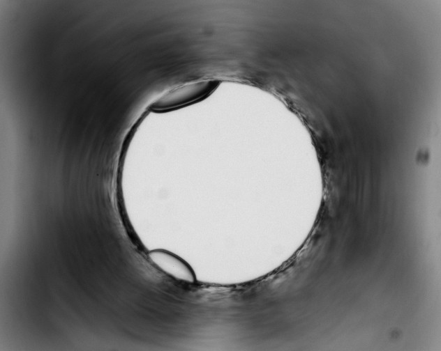 X0000103400052200810241020