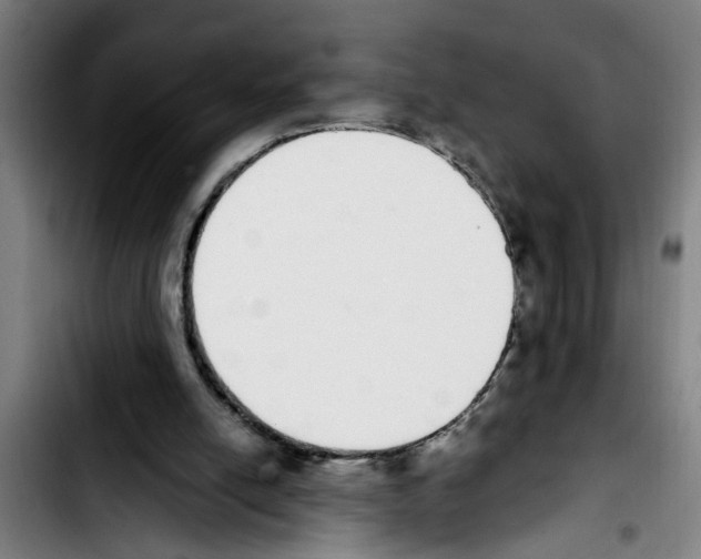 X0000103400054200810241020