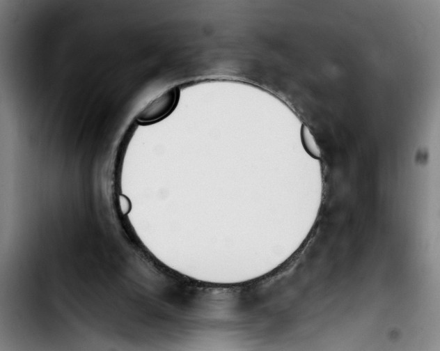 X0000103400056200810241020