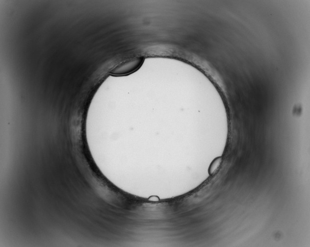 X0000103400057200810241020