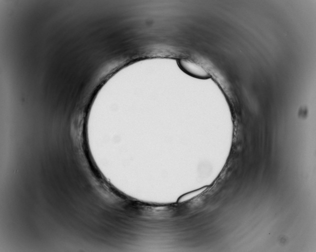 X0000103400058200810241020