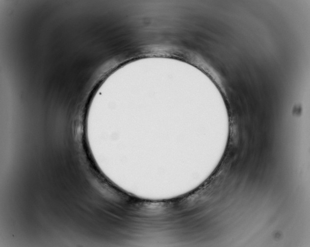 X0000103400059200810241020