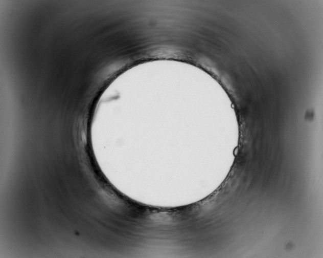 X0000103400062200810241020