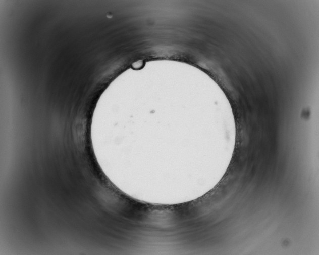 X0000103400066200810241020