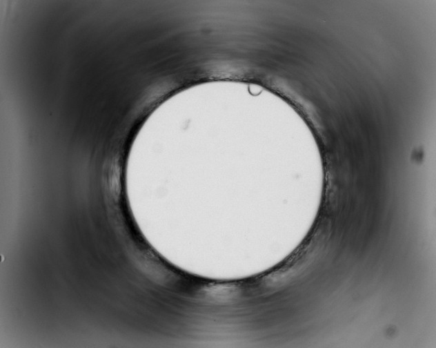 X0000103400067200810241020