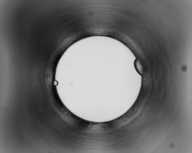 X0000103400072200810241020