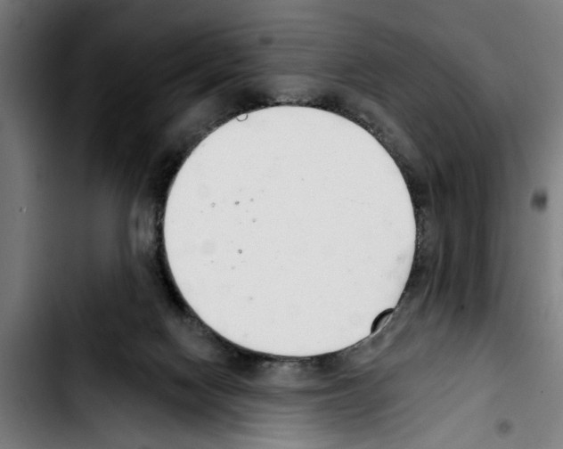 X0000103400074200810241020