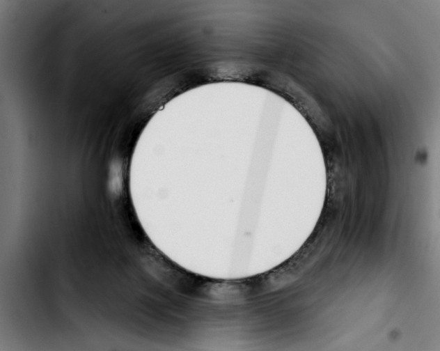 X0000103400075200810241020