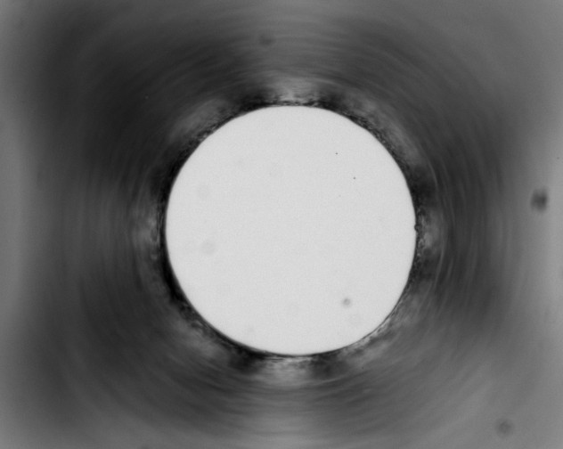 X0000103400078200810241020