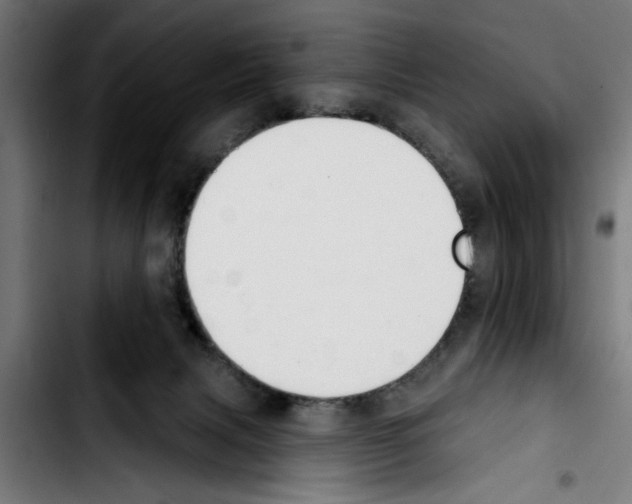 X0000103400079200810241020