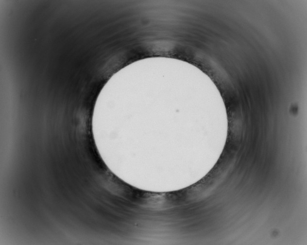 X0000103400083200810241021