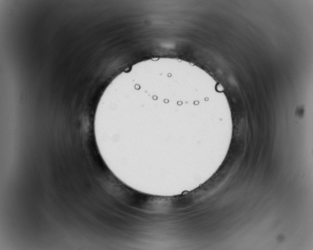 X0000103400084200810241021