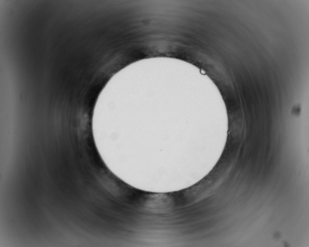 X0000103400087200810241021