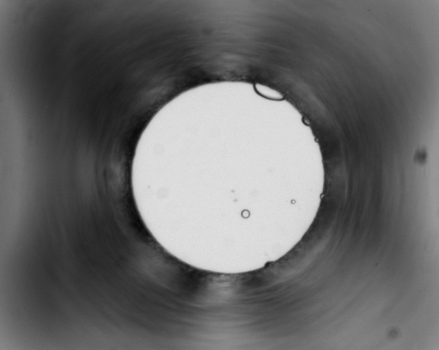 X0000103400088200810241021