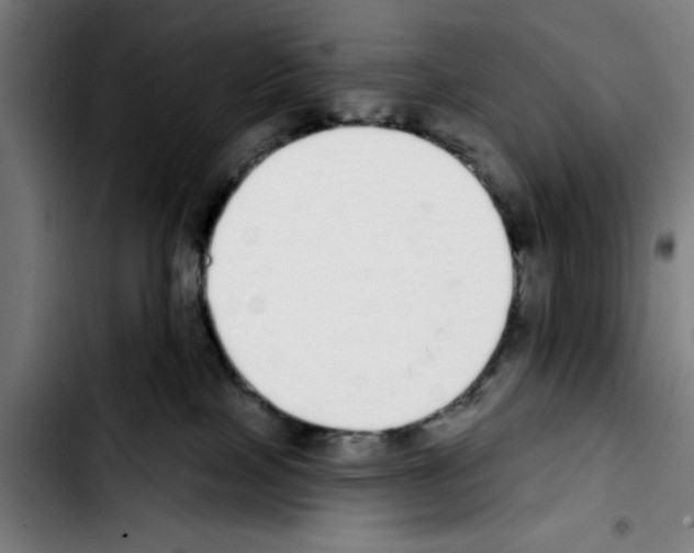 X0000103400089200810241021