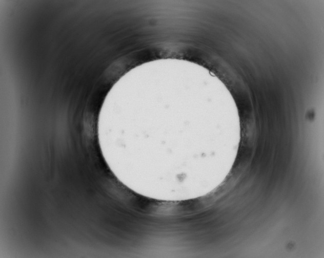 X0000103400090200810241021