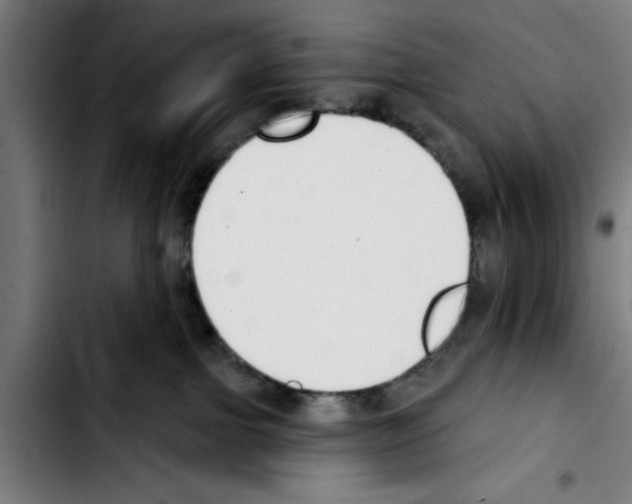 X0000103400091200810241021